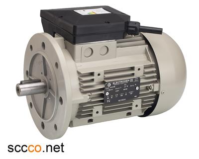 الکتروموتور تکفاز B5 الکتروژن